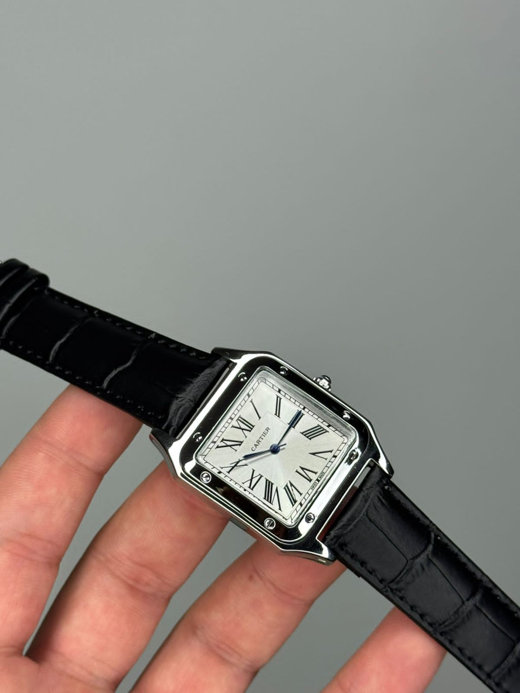 Cartier جلد حجم وسط - Ahmed Store