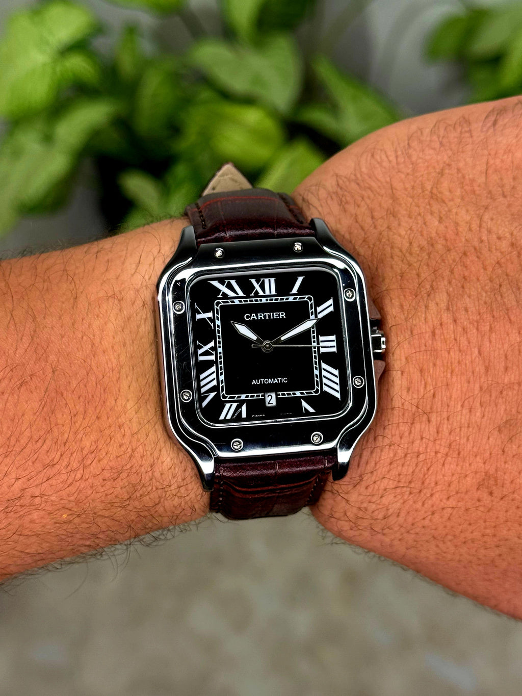 كارتيرا جلد تريند 2025 - Ahmed Store