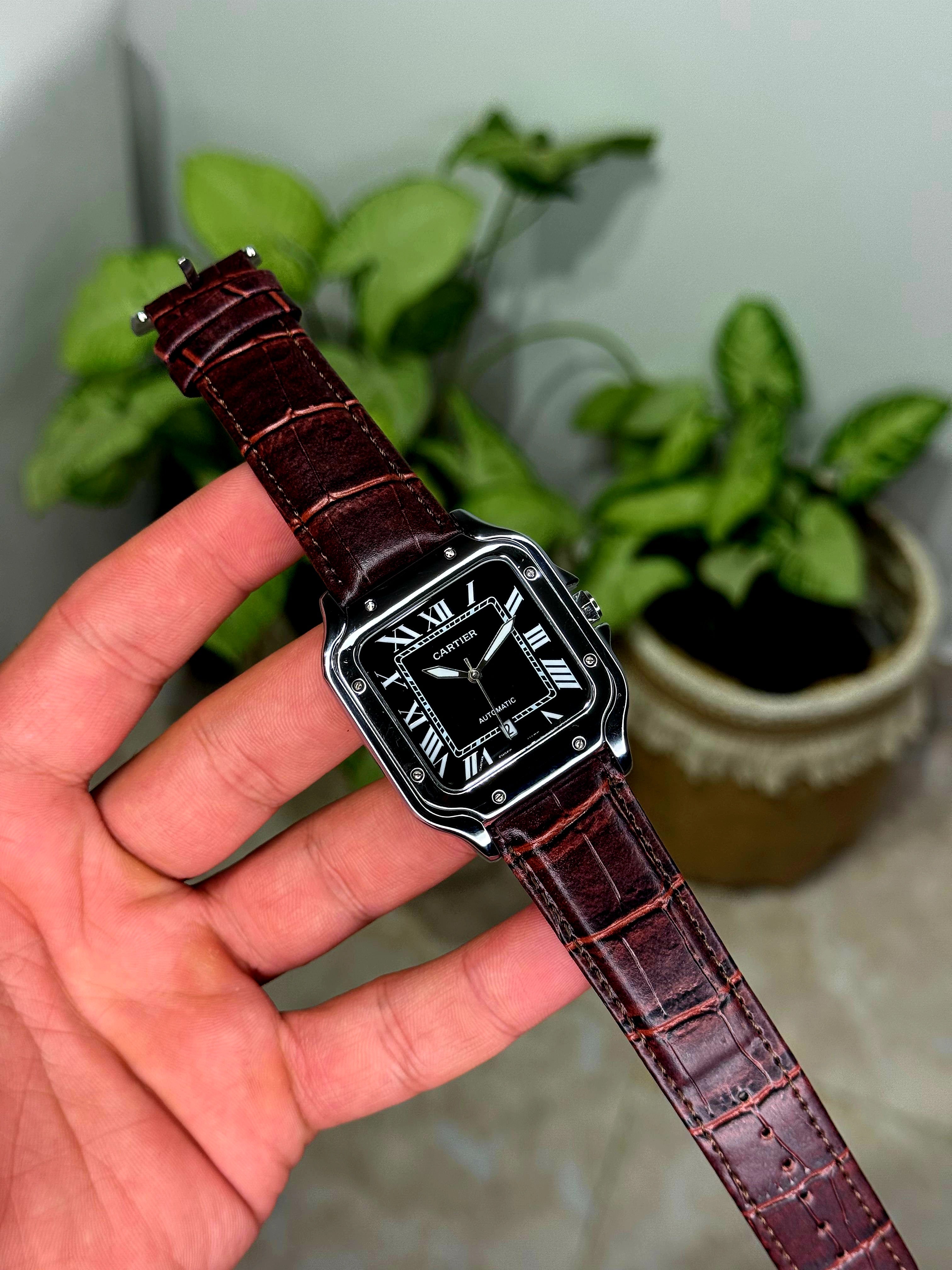 كارتيرا جلد تريند 2025 Secondary image